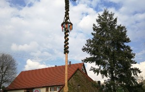 Maibaum in Leinweiler